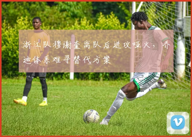 浙江队穆谢奎离队后进攻哑火，乔迪体系难寻替代方案